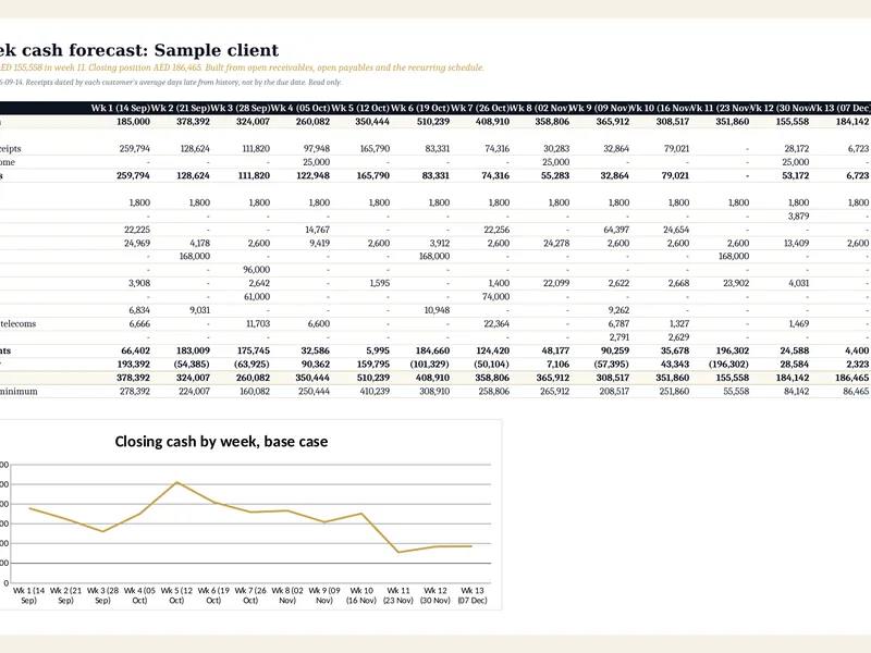 13 week cash flow forecast from the ledgers